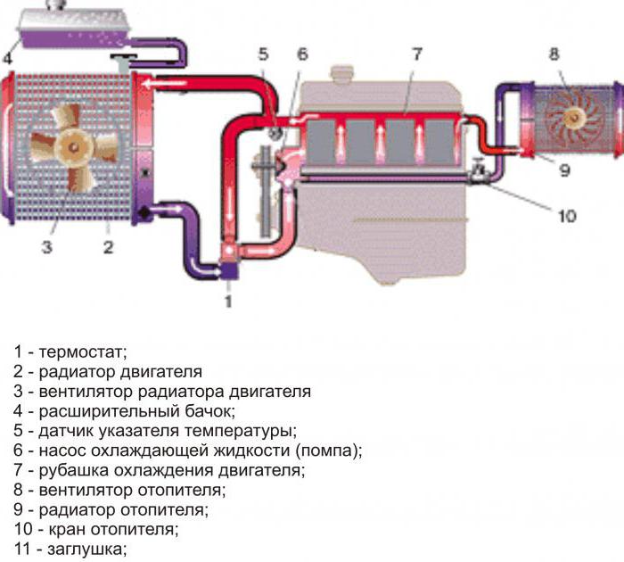 Схема циркуляции охлаждающей жидкости. Схема системы охлаждения двигателя